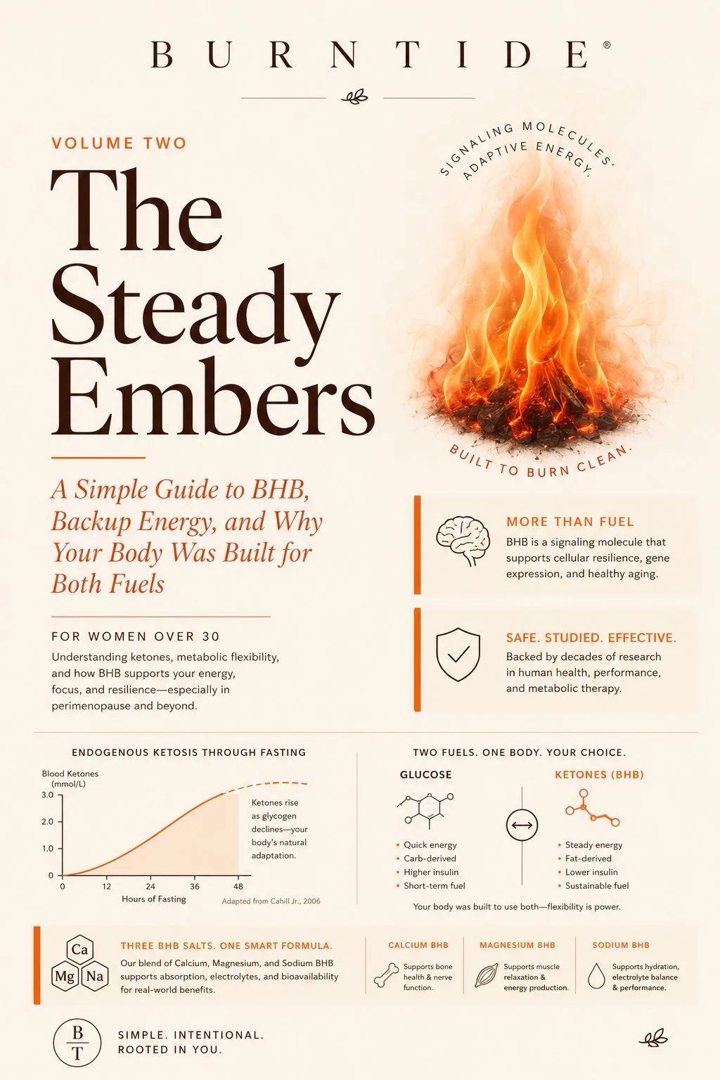 Burntide Bonus 2 — The Steady Embers pocket guide to stress, sleep, and metabolism habits